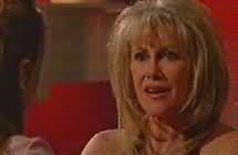 Neighbours: The Perfect Blend