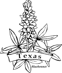 Bluebonnet flowers coloring pages (with images) | flower. Bluebonnet Coloring Page Coloring Home