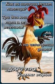 images?q=tbn:ANd9GcRMBE8ZWl5RsTXhXN1DibM