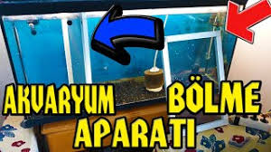 Akvaryum Nasil Bolunur Sineklik Teli Ile Akvaryum Bolme Guppy Kilickuyruk Lepistes Corydoras Youtube