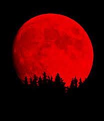 Pin By Danielle On Fly Me To The Moon Red Aesthetic Red Moon Red Moon Rising
