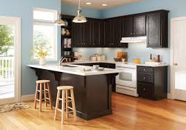 Cabinet door sample in nutmeg. American Woodmark Kitchen Cabinets