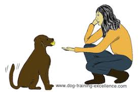 Dog Training Hand Signals A Picture Instructional Guide