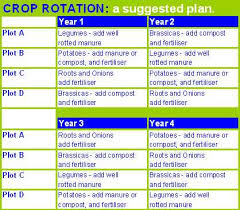 54 Up To Date Allotment Crop Rotation Chart