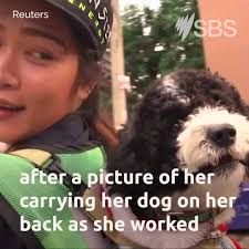 Bangkok street sweeper brings dog to work