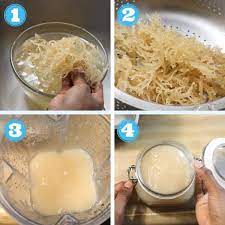 Making your sea moss gel: How To Make Sea Moss Gel Vegan With Curves