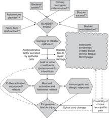 Interstitial Cystitis Bladder Pain Syndrome Chapter 10 Chronic Pelvic Pain