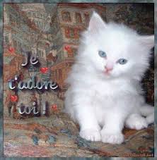 نتيجة بحث الصور عن ‪photos de je t'aime fouzia‬‏