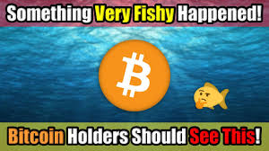 So, what is the best cryptocurrency to buy in 2021? Something Very Fishy Is Happening Right Now In Cryptocurrency In October 2020 Be Aware Youtube
