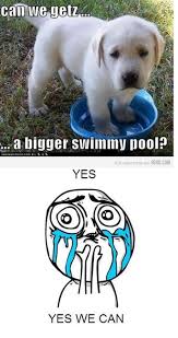 Pin By Tedi Sanchez On Baby Stuff Cute Funny Animals Funny Animals Cuteness Overload