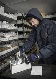 The 11 best marijuana online seed banks in the market today. 140 Genebank People Ideas In 2021 Seed Bank Informal Seed Vault