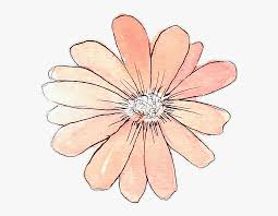 Discover more posts about lilies, roses, hibiscus, flower, lily of the valley, spring, and sunflower. Tumblr Drawing Watercolor Peach Flower Flowers Png Tumblr Draw Transparent Png Kindpng