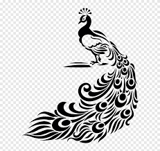 Hopefully the post content article gambar kepala. Merak Menggambar Burung Burung Hewan Merak Png Pngegg