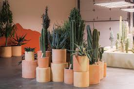 Buy and sell locally in kansas city, mo. For A Surprising Number Of Kansas Citians It S All About The Plants And Business Is Blooming