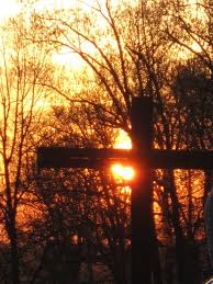 Our 100% satisfaction guarantee is our personal commitment to creating long. Flowers By Shirley Bowling Green Ky Florist Facebook