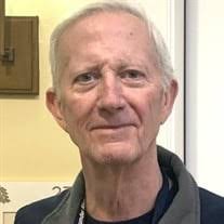 Michael Louis "Mike" McClellan Sr. Obituary (2024)