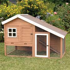 70 desain kandang ayam petelur dan broiler minimalis modern dan unik backyard chicken coops chickens backyard building a chicken coop