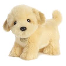 Pin On Lhasa Apso