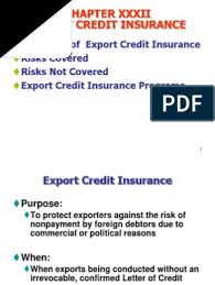 Strategic projects insurance covers projects that do not qualify for credit insurance because they do not meet the criteria for the minimum national content or are not subject to an export contract. Export Credit Insurance Pdf Insurance Credit Finance