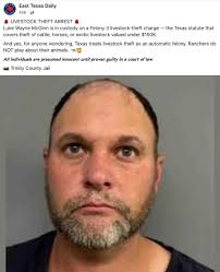 🚨 LIVESTOCK THEFT ARREST