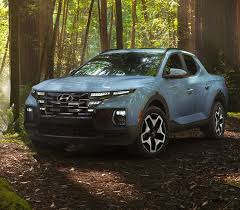 Image result for Sage Gray 2023 Santa Cruz