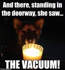 20 Dog Memes Halloween Factory Memes