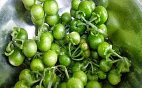 Kami mengumpulkan soal dan jawaban dari tts (teka teki silang) populer yang biasa muncul di koran kompas, jawa pos. Khasiat Menakjubkan Konsumsi Leunca Untuk Obati Asam Urat Wartapenanews Com