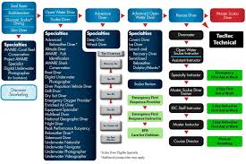 Padi Course Chart Skin Diver Water Conservation Diving