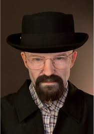 Sosie Walter White Anixem