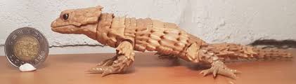 Über 1 million bergsportkunden, service 4,86/5. Armadillo Girdled Lizard Toyanimalwiki