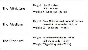 Cobberdog Size Chart Ridgy Didge Cobberdogs