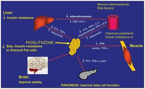 Full article: Pioglitazone for the treatment of type 2 diabetes in patients  inadequately controlled on insulin