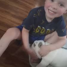 Fundraiser for Melissa Payne by Melissa Payne : ASFDFW