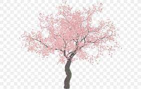 This page lists png of cherry tree/cherry blossom tree. Cherry Blossom Tree Clip Art Png 600x521px Cherry Blossom Blossom Branch Cerasus Cherry Download Free