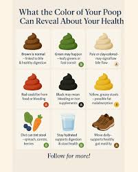 Image result for dark black stool human poop