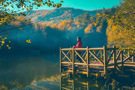 Gunes Dogarken Kus Sesleri Ve Golun Dingilligini Dinlemeyi Deneyin In 2020 Art Painting