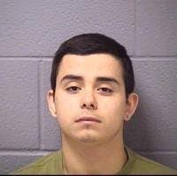 Domestic Battery, Theft, Possession: Plainfield Blotter