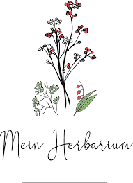 The herbarium at mo is divided between two buildings. Herbarium Word Vorlage 13 Herbarium Vorlage Word Seasidecrabhouse Com There Are 9 Letters In Herbarium Home Energy