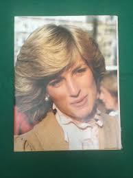 Princess: Leader of Fashion Martina Shaw Princess Diana Royal Family 1980s  Style