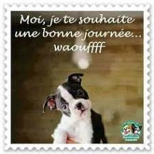 Résultat de recherche d'images pour "bonne journée"