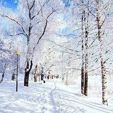 Don't hesitate to download this free app! Get Winter Wallpaper Microsoft Store