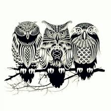 Pin By Christie Padova On Tattoos Owls Drawing Owl Art Animal Art