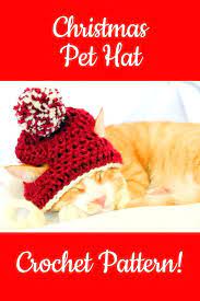 Cat Santa Hat Crochet Pattern Crochet Christmas Dog Hat Christmas Crochet Pattern Funny Crochet C Crochet Christmas Hats Crochet Dog Hat Crochet Hat Pattern