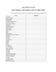 Dna mutation simulation worksheet answer key. Blueprint Of Life