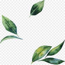 Green Leaf Watercolor Png Download 2757 2737 Free Transparent Leaf Png Download Ilustracion De Flor Fondo De Flores Iphone Hojas De Acuarela