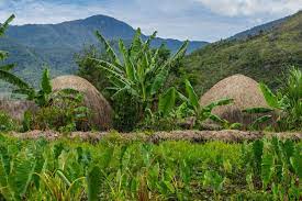 Indonesian hal berikutnya yang saya yakini adalah bahwa kita harus menciptakan teknologi bagi para petani miskin untuk menambah nilai hasil panen mereka. Hasil Tanaman In English