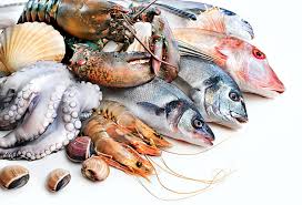 Fruits De Mer Poisson Poulpe Omar Crevette Fruits De Mer Fond D Ecran Hd Wallpaperbetter