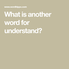 It did not require a great deal of perception to realise what he meant. What Is Another Word For Understand Understanding Words Synonym