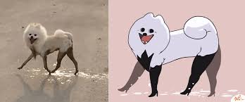 Https Www Tumblr Com Explore Recommended For You Funny Animal Memes Cute Funny Animals Funny Cute