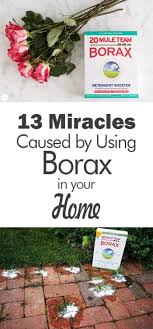 Check spelling or type a new query. 13 Miracles Caused By Using Borax In Your Home 101 Days Of Organization